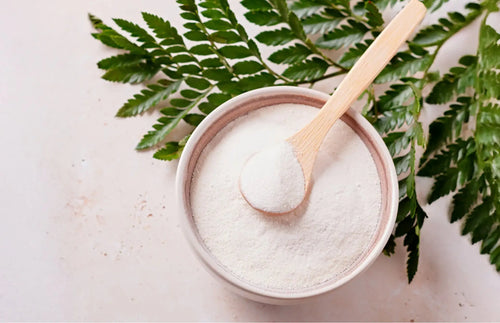 L'importance du collagène : pourquoi devrions-nous en prendre en complément ?